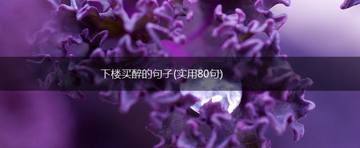 下楼买醉的句子(实用80句),第1张