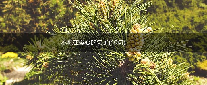 不想在操心的句子(40句),第1张