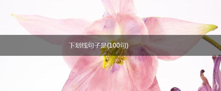 下划线句子是(100句),第1张