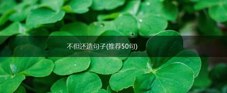 不但还造句子(推荐50句),第1张