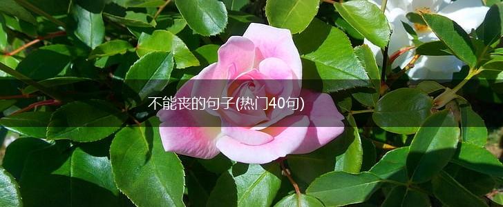 不能丧的句子(热门40句),第1张