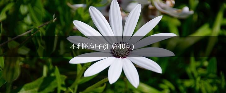 不利的句子(汇总40句),第1张