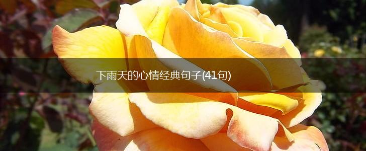 下雨天的心情经典句子(41句),第1张