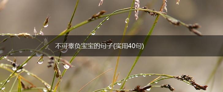 不可辜负宝宝的句子(实用40句),第1张