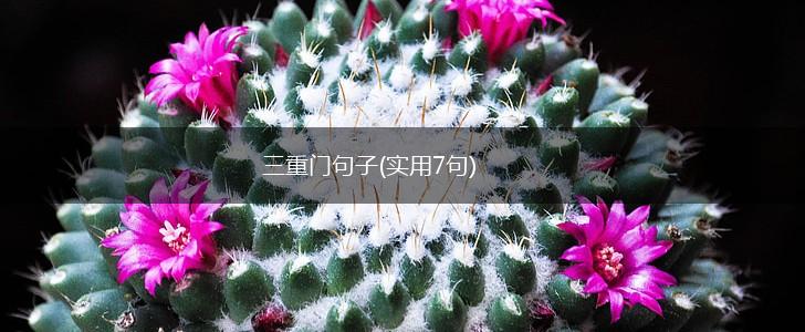 三重门句子(实用7句),第1张