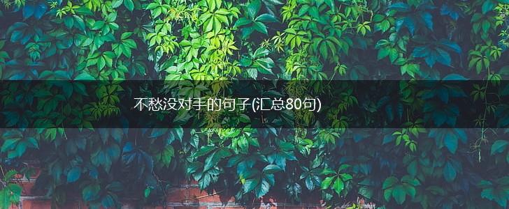 不愁没对手的句子(汇总80句),第1张