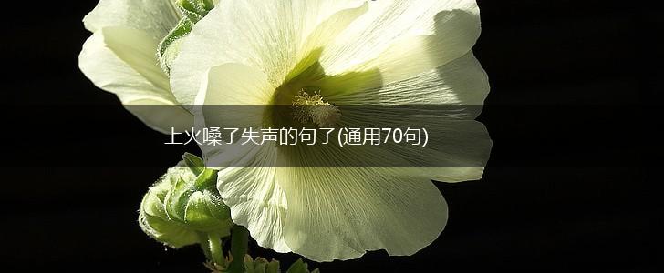 上火嗓子失声的句子(通用70句),第1张