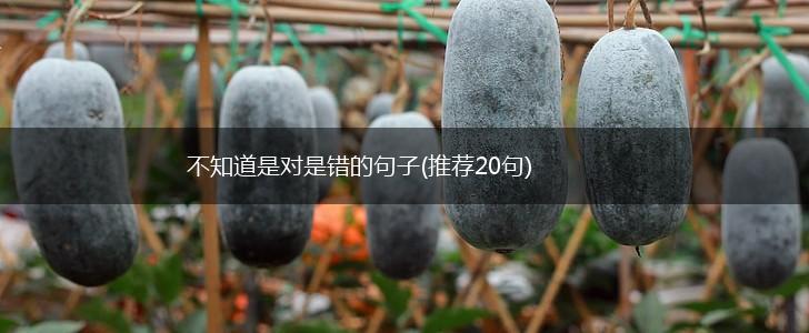 不知道是对是错的句子(推荐20句),第1张