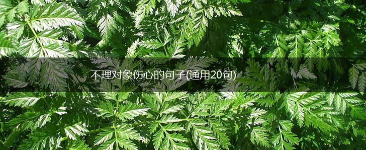 不理对象伤心的句子(通用20句),第1张