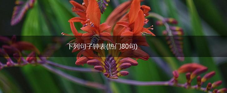 下列句子钟表(热门80句),第1张