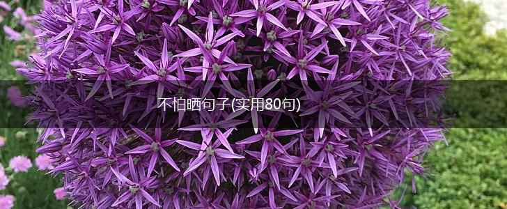 不怕晒句子(实用80句),第1张
