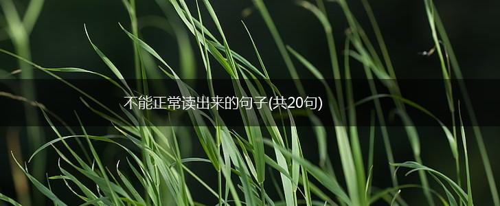 不能正常读出来的句子(共20句),第1张