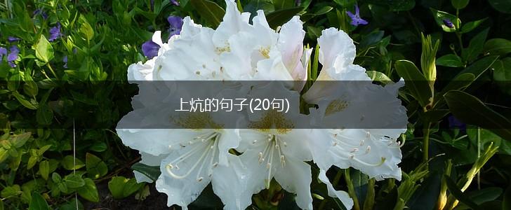 上炕的句子(20句),第1张
