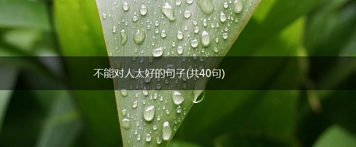 不能对人太好的句子(共40句),第1张