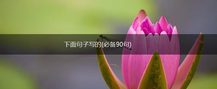 下面句子写的(必备90句),第1张