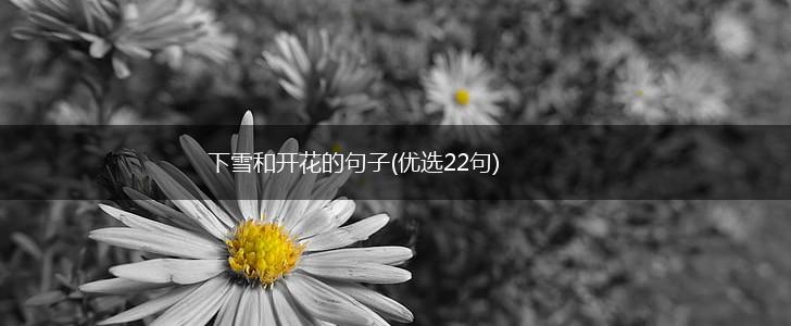 下雪和开花的句子(优选22句),第1张