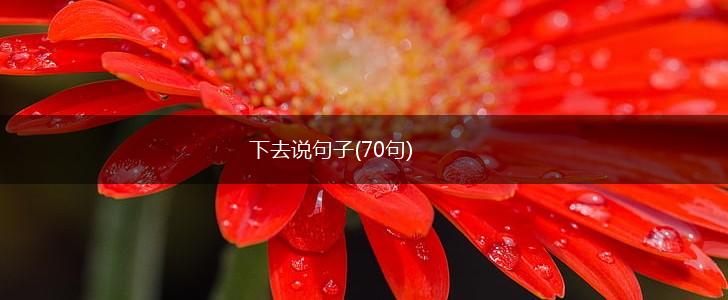 下去说句子(70句),第1张