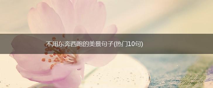 不用东奔西跑的美景句子(热门10句),第1张