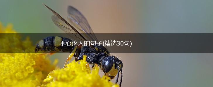 不心疼人的句子(精选30句),第1张