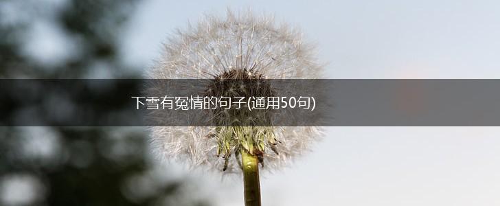 下雪有冤情的句子(通用50句),第1张