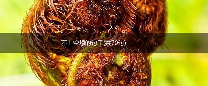 不上空想的句子(共70句),第1张