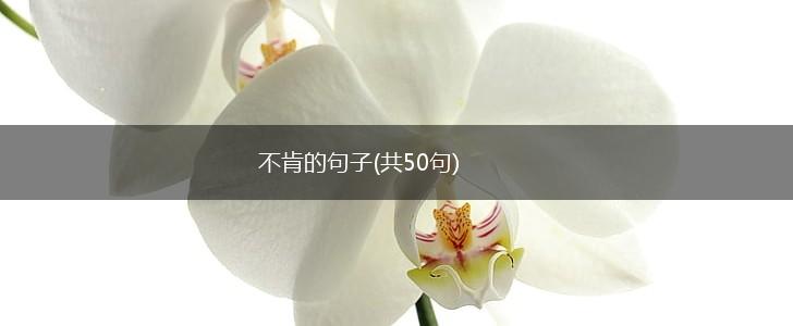 不肯的句子(共50句),第1张