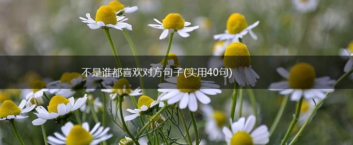 不是谁都喜欢对方句子(实用40句),第1张