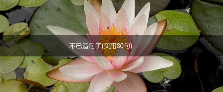 不已造句子(实用80句),第1张