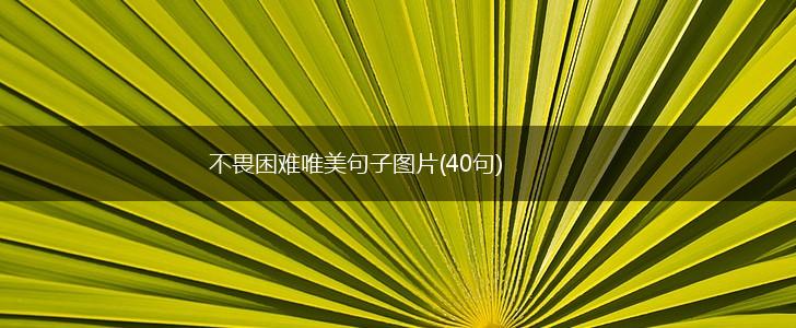 不畏困难唯美句子图片(40句),第1张