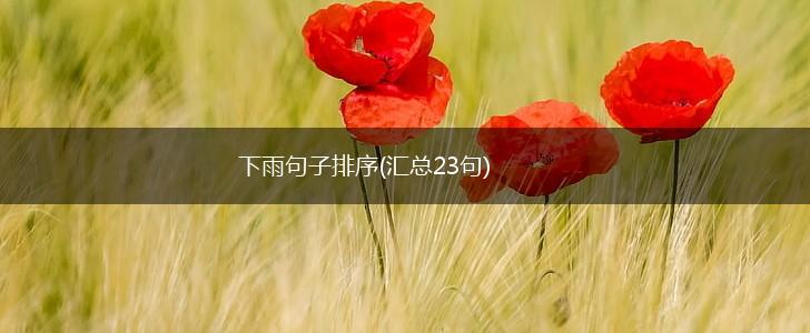 下雨句子排序(汇总23句),第1张