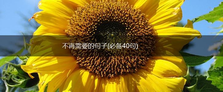 不再需要的句子(必备40句),第1张
