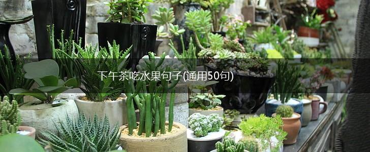 下午茶吃水果句子(通用50句),第1张