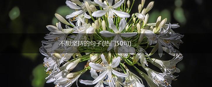 不想坚持的句子(热门50句),第1张