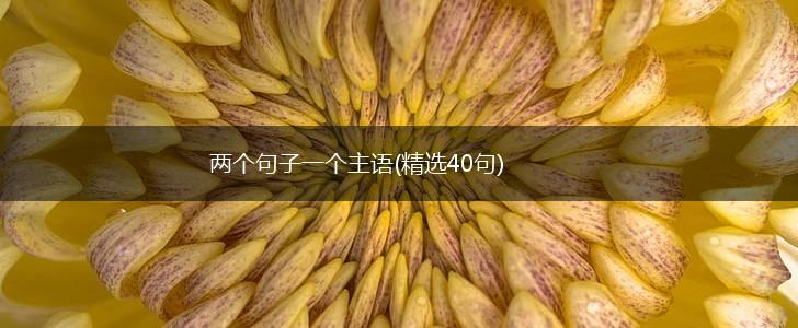 两个句子一个主语(精选40句),第1张