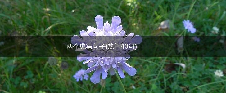 两个愈写句子(热门40句),第1张
