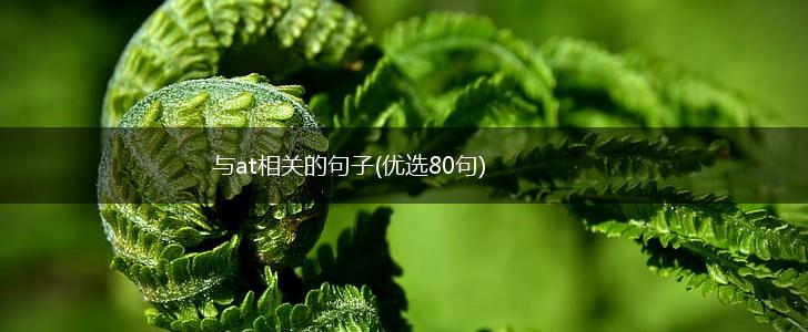 与at相关的句子(优选80句),第1张