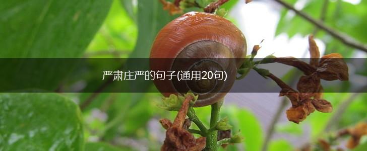 严肃庄严的句子(通用20句),第1张