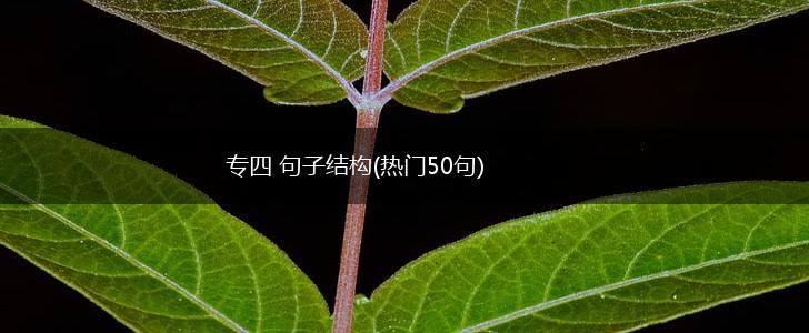 专四 句子结构(热门50句),第1张