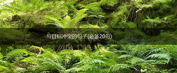 与目标冲突的句子(必备20句),第1张