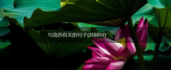 与流苏有关的句子(共60句),第1张