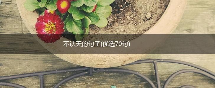 不认天的句子(优选70句),第1张
