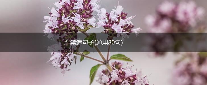 严禁造句子(通用80句),第1张