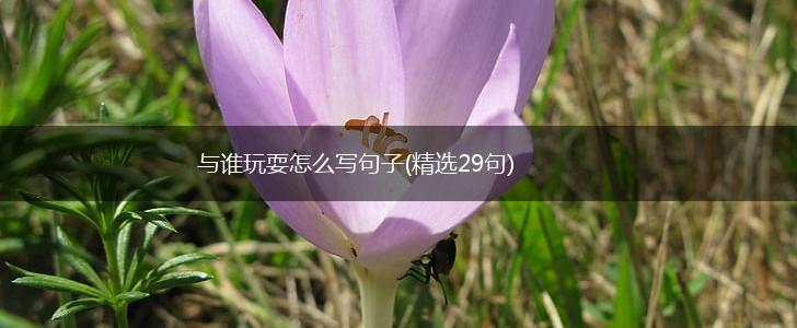 与谁玩耍怎么写句子(精选29句),第1张