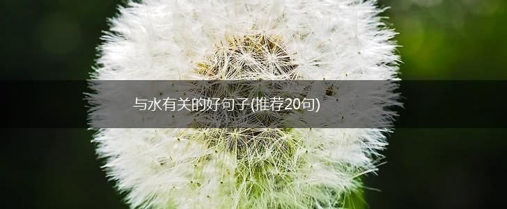 与水有关的好句子(推荐20句),第1张