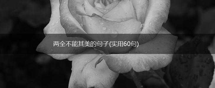 两全不能其美的句子(实用60句),第1张