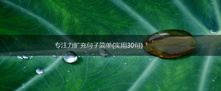 专注力扩充句子简单(实用30句),第1张