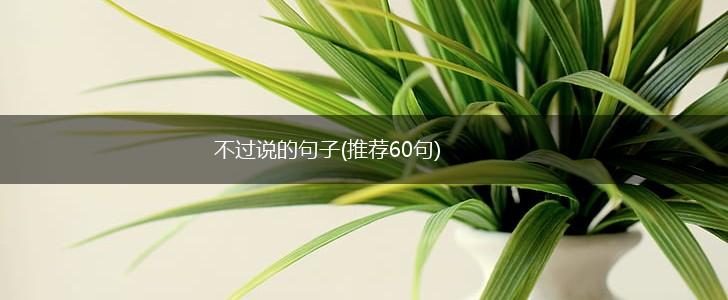 不过说的句子(推荐60句),第1张