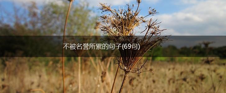 不被名誉所累的句子(69句),第1张