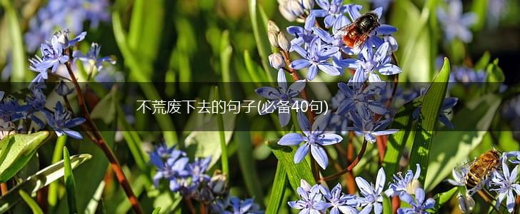 不荒废下去的句子(必备40句),第1张