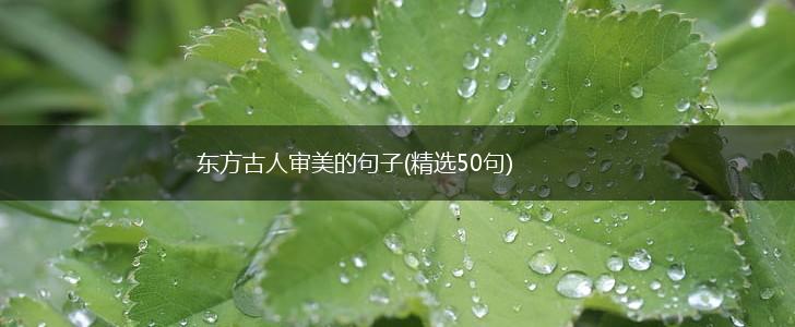 东方古人审美的句子(精选50句),第1张